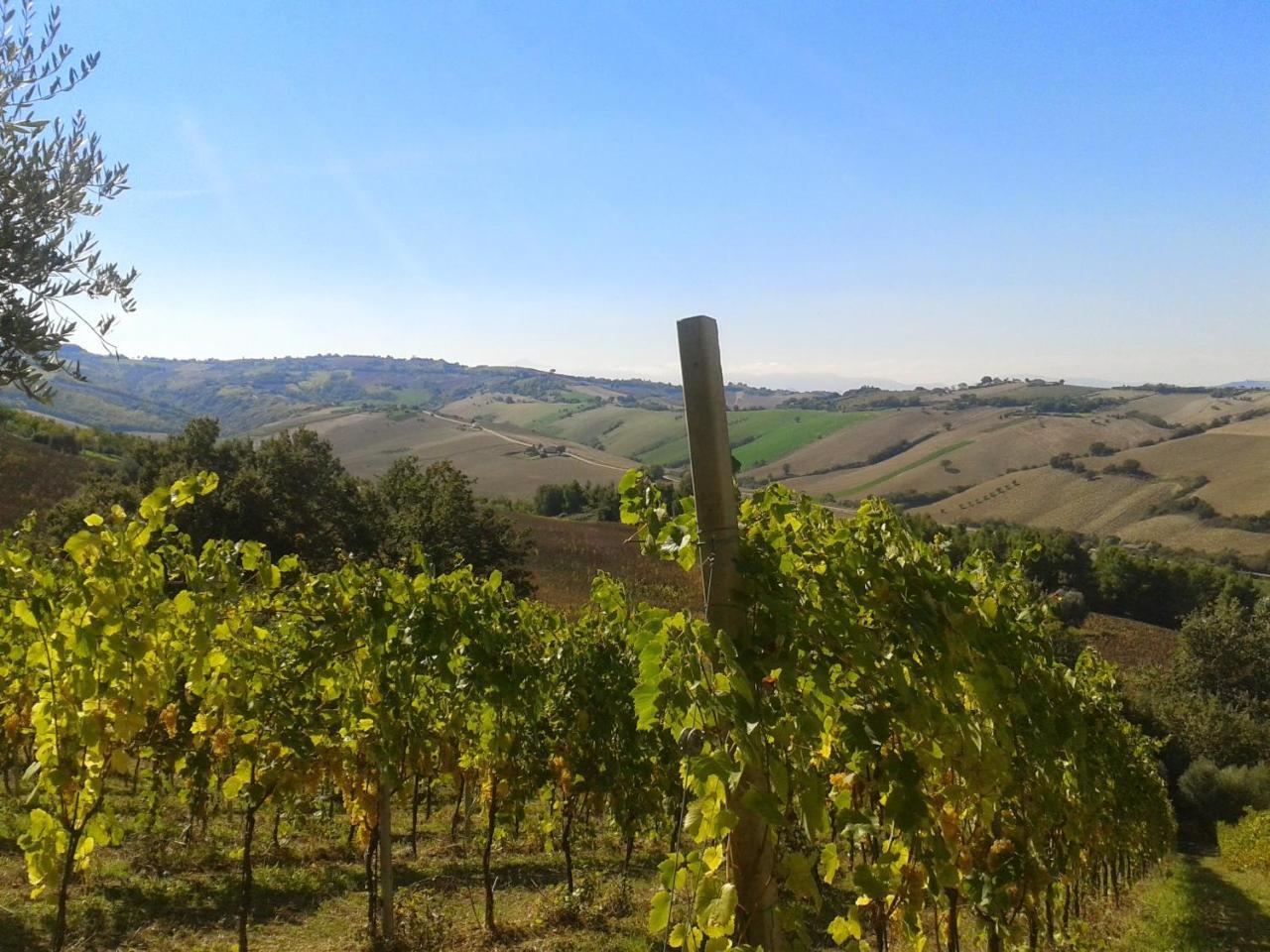 Agriturismo Le Vigne Fermo Exterior photo