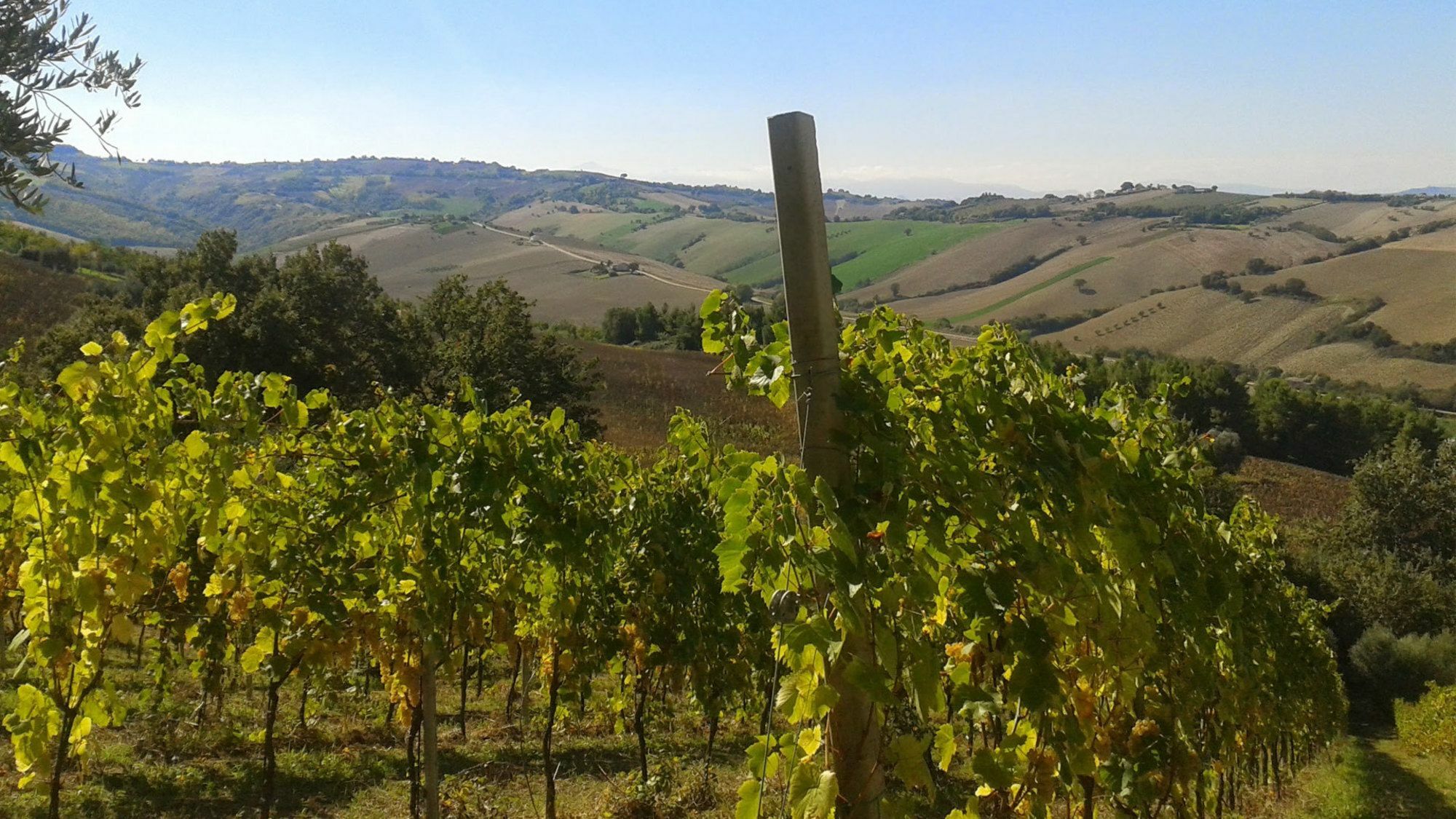 Agriturismo Le Vigne Fermo Exterior photo